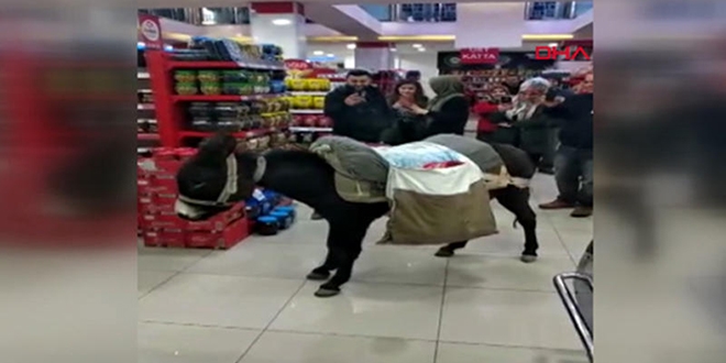 Poşet parası vermemek için markete eşekle geldi