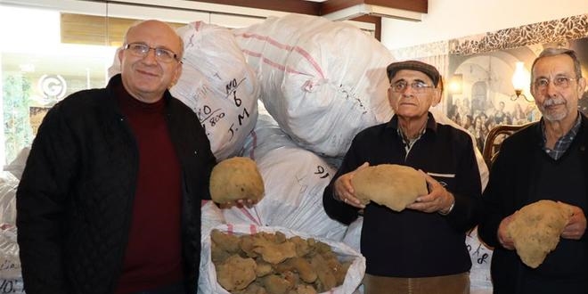 Bodrum'dan Yunanistan'a sünger ihracatı tekrar başladı