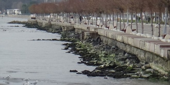 Silivri'de deniz 50 metre çekildi
