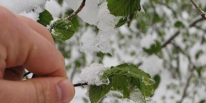 Meteoroloji'den zirai don uyarısı