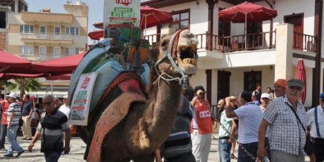 Muhtar adayından develi seçim kampanyası