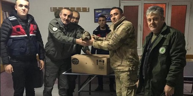 Kaçak avcılar vurdu, jandarma kurtardı