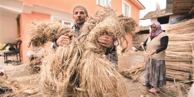 Yabancıya kenevir yok