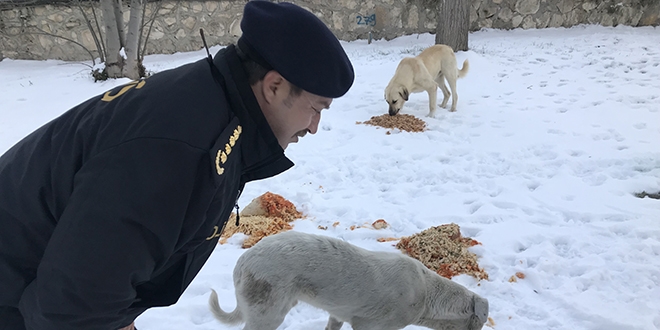 Sokak hayvanlarına polis merhameti