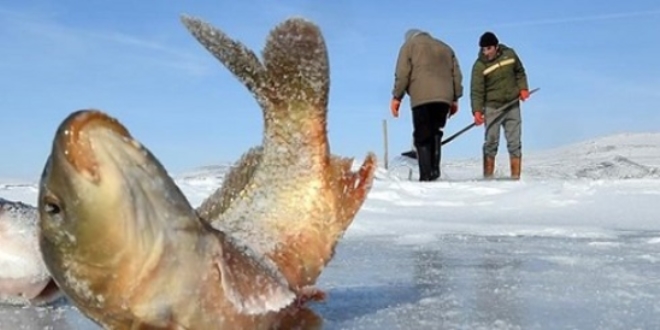 Donan Çıldır Gölü'nde eskimo usulü balık avlıyorlar