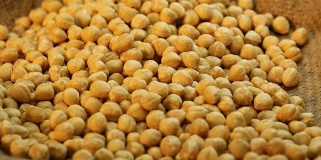 Fındık kilo aldırmıyor