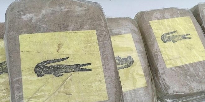 Timsah logolu çete, memurluğa hazırlanan üyesiyle yakalandı