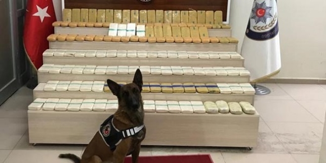 Narkotik köpeği Zeyna ile Lisa 86 kilo eroin yakalattı