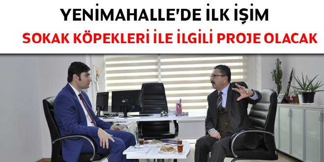 Tiryaki: Yenimahalle'de ilk işim sokak köpekleri ile ilgili proje olacak