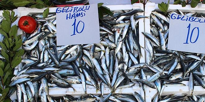 Sardalya ucuzlayınca hamsi gölgede kaldı