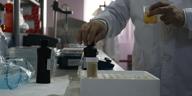 Erzurum'da yerli 'nano-keratin' retildi