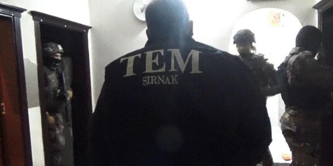 Şırnak'ta terör operasyonu: 11 gözaltı