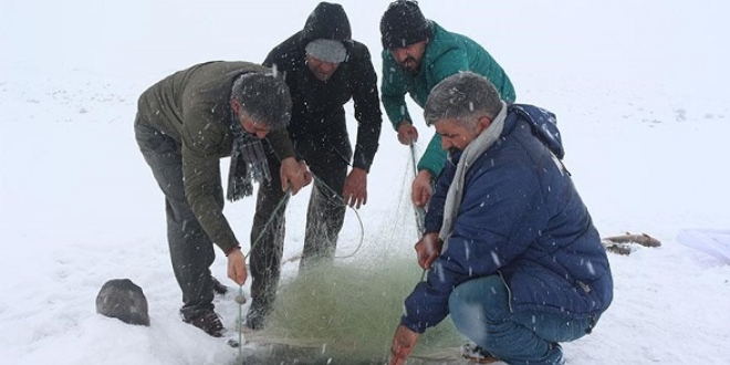 Buz tutan baraj balklara ekmek kaps oldu