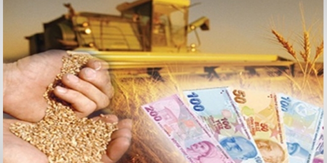 Tarımsal STK imparatorlukları tarımın neresinde?