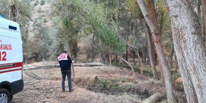 Kesilen ağacın çarptığı orman işçisi hayatını kaybetti