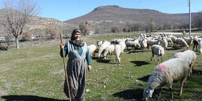 Kadın girişimci köyüne dönüp 'çiftlik sahibi' oldu