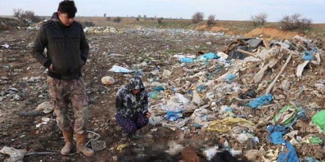 Kırklareli'nde çöplükten kan donduran vahşet çıktı