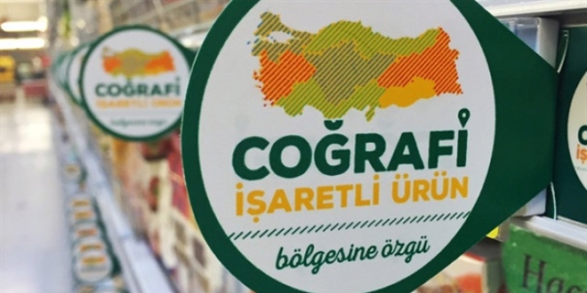 Bakan duyurdu! Artık o veriler internete taşındı