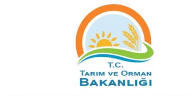 Tütün Mamullerinin Etiketlenmesine ve Denetlenmesine İlişkin Usul ve Esaslar Hakkında Yönetmelik
