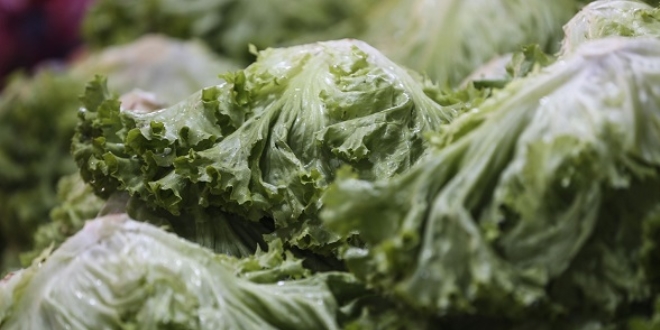 ubatta en fazla kvrck salata fiyat artt