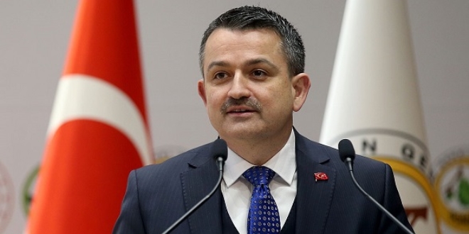 Bakanlık 12 bini aşkın yabani hayvanı hayata bağladı