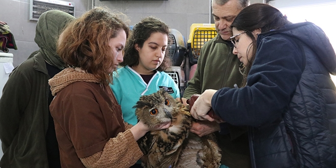 Yaban hayvanları profesörü 'inşaat ustası' yaptı