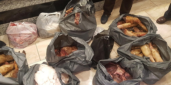 İstanbul'da ele geçirildi... Şoke eden görüntüler
