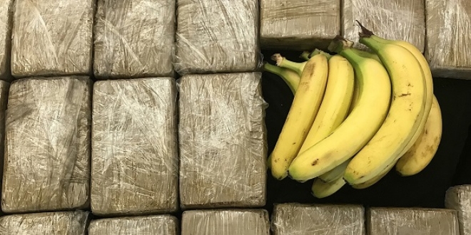 Muz konteynerinde 185 kilogram kokain ele geçirildi