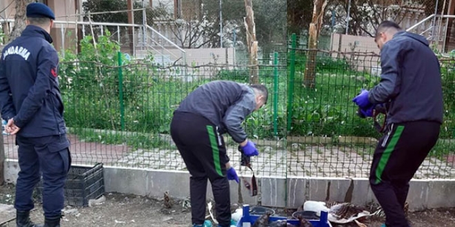 Korkunç olay! Bu kez de asitle öldürdüler