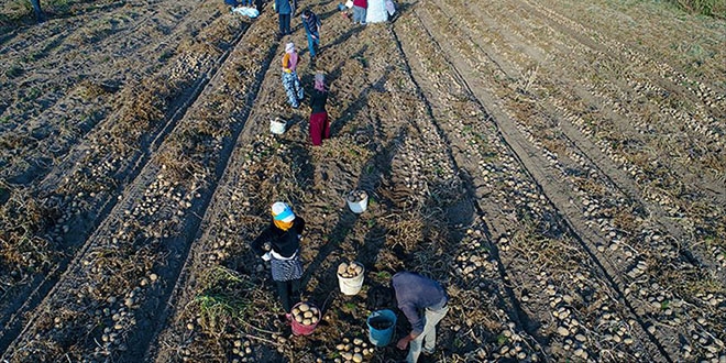 Tarım işçisinin günlük ücreti arttı