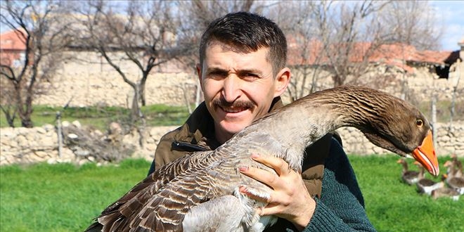 7 kazla üretime başladı, şimdi rekora koşuyor!
