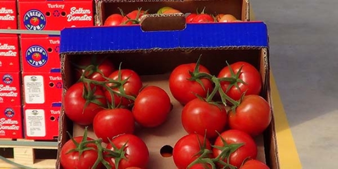 Domates fiyatları dengelenecek