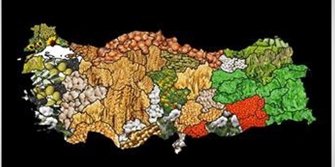 Başkanlık Politika Kurullarında, 'Tarım' neden yok?