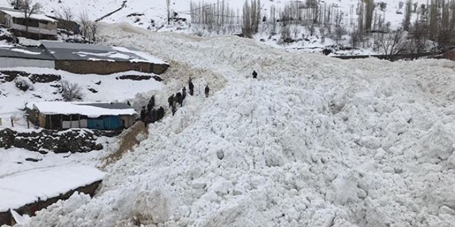 Ahırların üzerine çığ düştü: 46 hayvan telef oldu