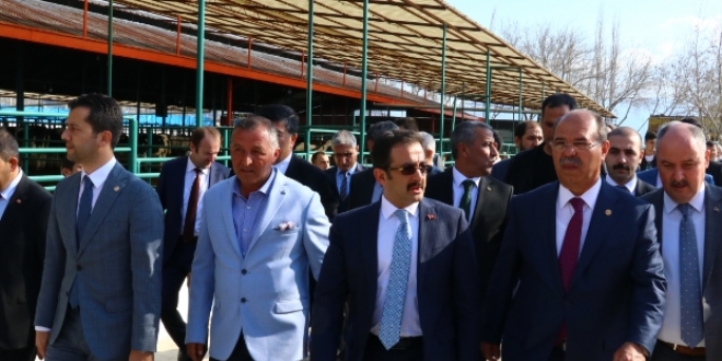 '2022 yılında hayvan ihraç eder hale geleceğiz'