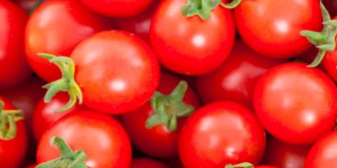Ukrayna, 17 ton Trk domatesini lkeye almad