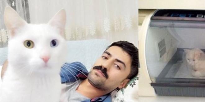 Beşinci kattan düşen kedisi için 190 bin lira harcadı