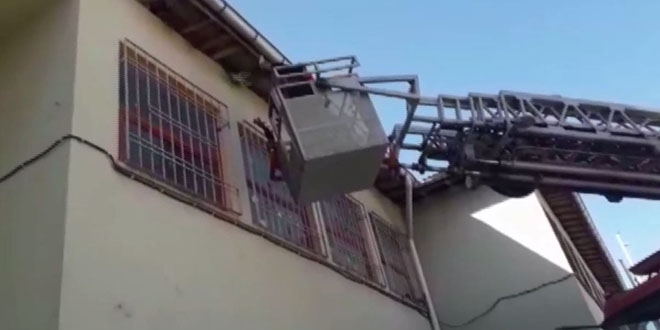 Öğretmenler güvercini kurtarmak için seferber oldu