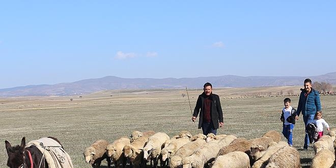Çiftçileri dolandıran şahıs tutuklandı