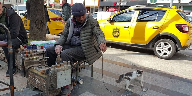 Boyacıyla kedinin dostluğu görenleri imrendiriyor