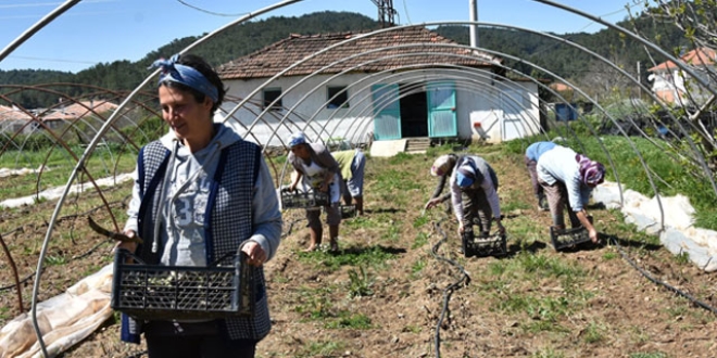 ABD'de yediği yemekle hayatı değişti