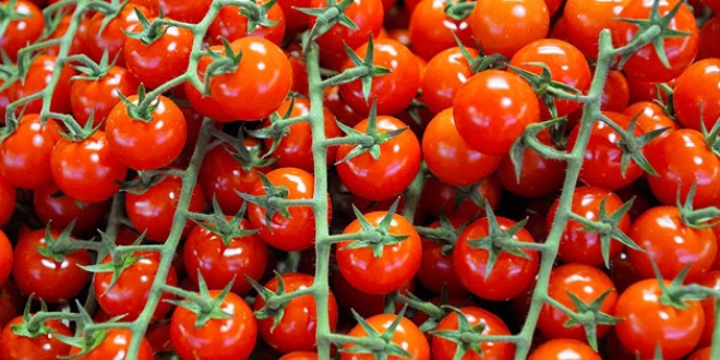 Rusya'dan Trk domatesiyle ilgili nemli karar