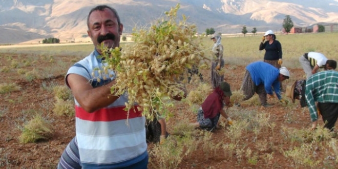 TKP ilk defa il belediyesi kazanıyor