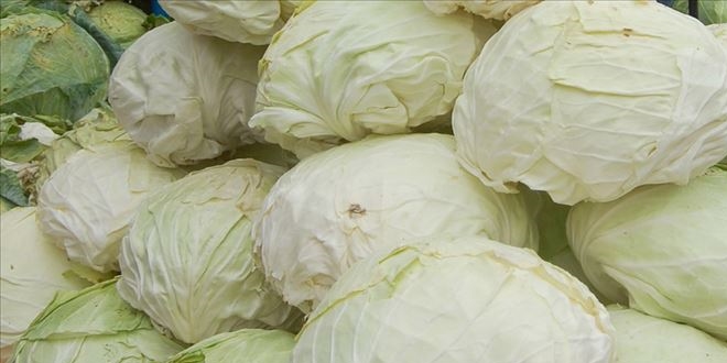 Lahananın fiyatı arttı, yeşil soğan ucuzladı