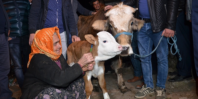 Bakanlık, Sabiha Nine'ye sahip çıktı