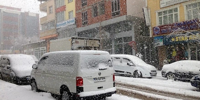 Ardahan'da nisan karı etkili oldu