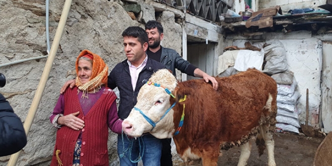 Bir istedi, beş ineği oldu
