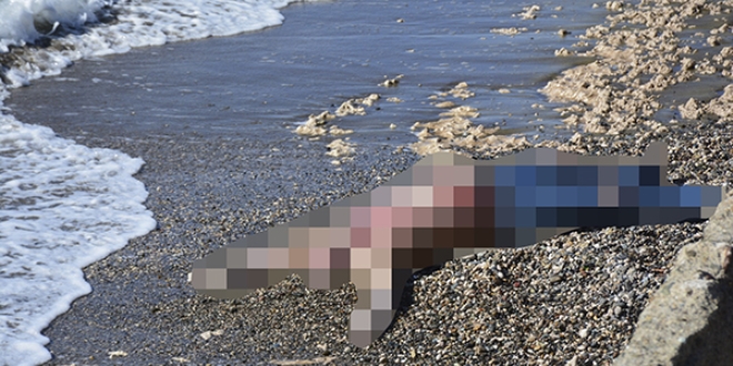 Hatay'da sahilde ceset bulundu