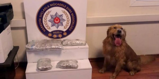Karı koca ile kayınvalideye 'uyuşturucu' gözaltısı!