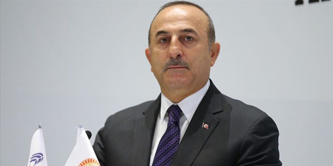 Cezayirlilerden Dışişleri Bakanı Çavuşoğlu'na destek